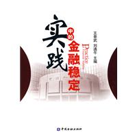 实践中的金融稳定