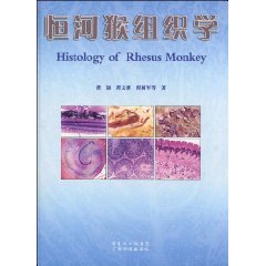 恒河猴组织学