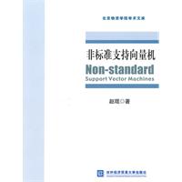非标准支持向量机
