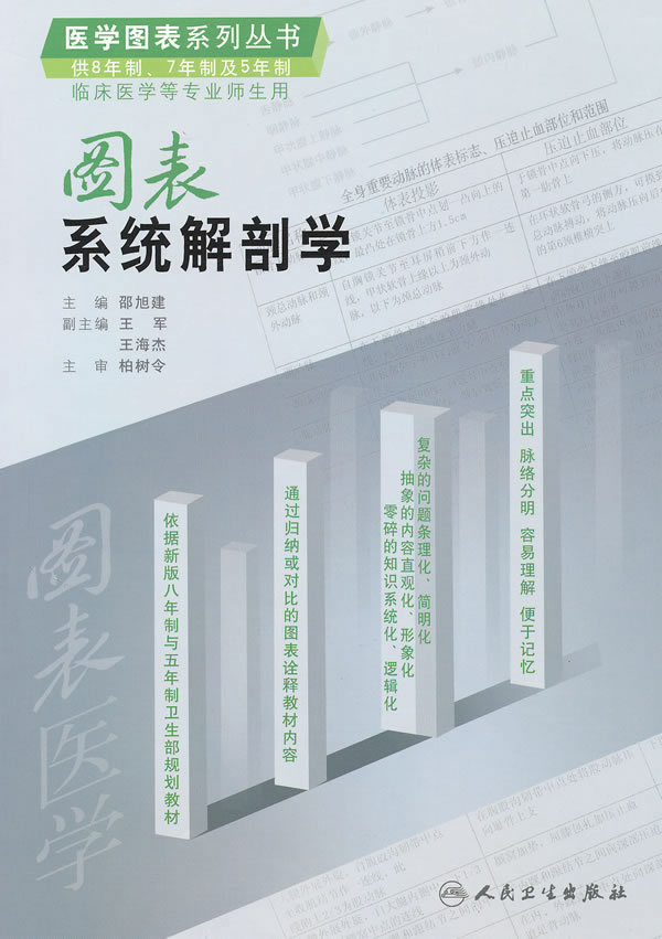 解剖学图片解剖学图谱mouseover
