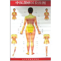 中医刮痧区位挂图-(共2张)-随挂图赠送中医刮痧区位挂图说明书一份