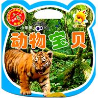 动物宝贝-小笨熊带你看世界