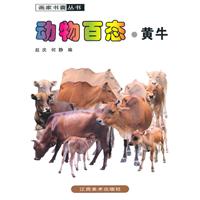 黄牛-动物百态