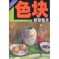 色块静物临本