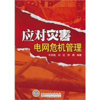 应对灾害电网危机管理