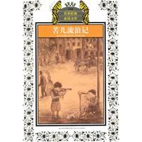 苦儿流浪记-少年版
