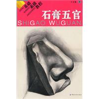 石膏五官-基础素描教程