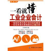 一看就懂工业企业会计-图解版