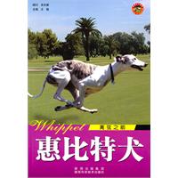 惠比特犬