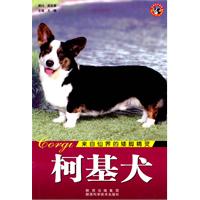 柯基犬