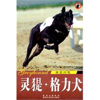 灵缇.格力犬