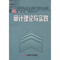 审计理论与实践