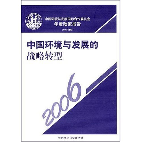 中国环境与发展国际合作委员会年度政策报告:2006