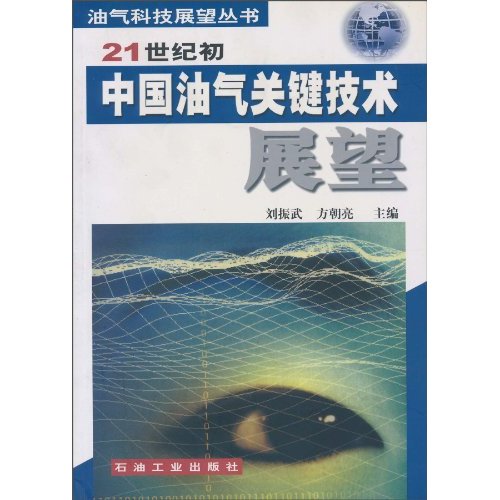 油气科技展望丛书:21世纪中国油气关键技术展望