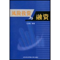 风险投资与融资