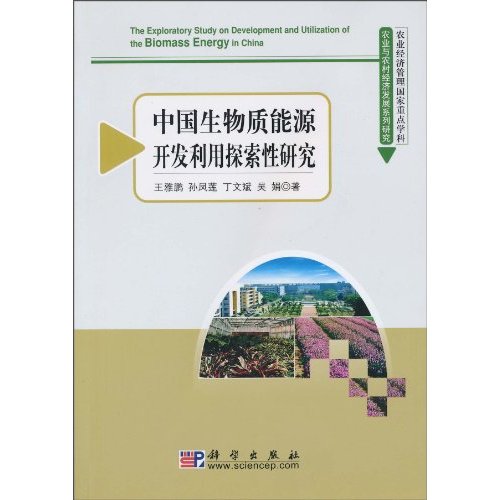 中国生物质能开发利用探索性研究