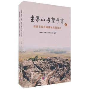 坐果山与望子岗-潇湘上游商周遗址发掘报告-上下册