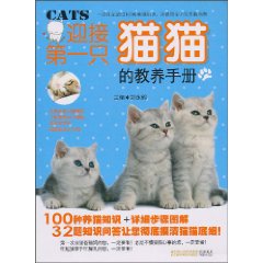 迎接第一只猫猫的教养手册