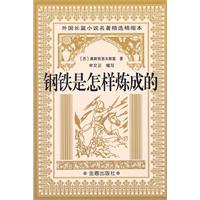 钢铁是怎样炼成的