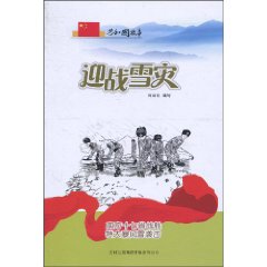 迎战雪灾-南方十七省战胜特大暴风雪袭击