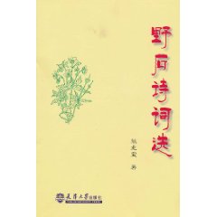 野石诗词选