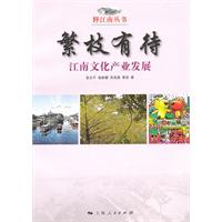繁枝有待-江南文化产业发展