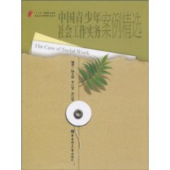中国青少年社会工作实务案例精选