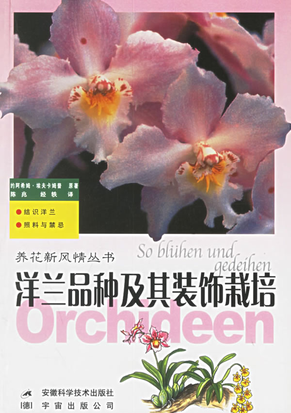洋兰品种及其装饰栽培