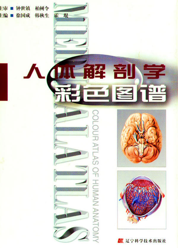 人体解剖学彩色图谱-第二版