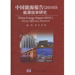 中国能源报告(2010):能源效率研究