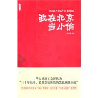 B我在北京当小偷