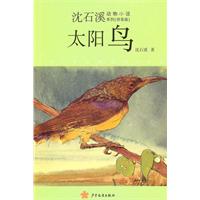 太阳鸟-拼音版