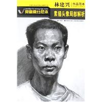 林建兴作品范本素描头像局部解析