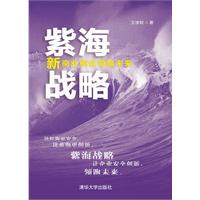 紫海战略-新商业模式领跑未来