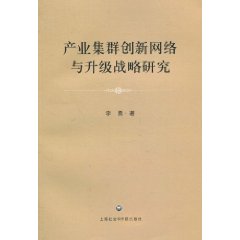 产业集群创新网络与升级战略研究