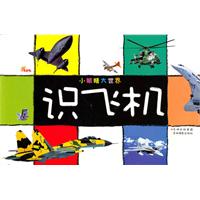 识飞机-小眼睛大世界
