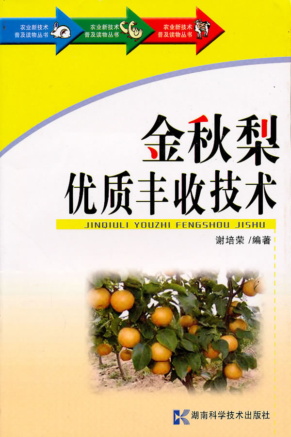 金秋梨优质丰收技术