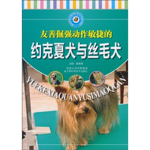 约克夏犬与丝毛犬