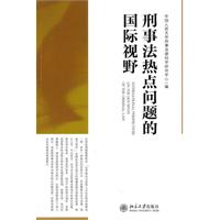 刑事法热点问题的国际视野