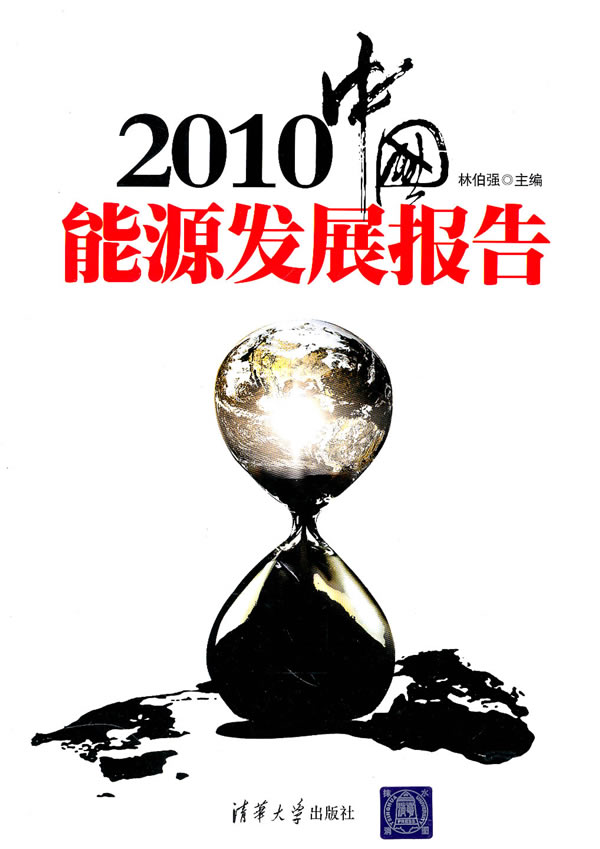 2010中国能源发展报告