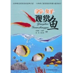 养好观赏鱼