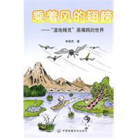 乘着风的翅膀-湿地精灵 黑嘴鸥的世界