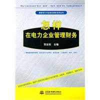 怎样在电力企业管理财务