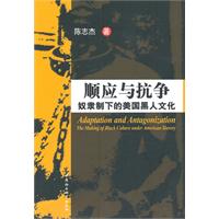 顺应与抗争-奴隶制下的美国黑人文化