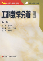 工科数学分析(偏理):上册