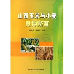 山西玉米与小麦良种繁育