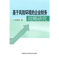 基于风险环境的企业财务战略研究