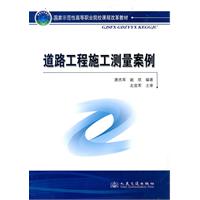 道路工程施工测量案例