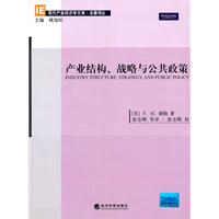 产业结构、战略与公共政策