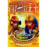 冒险小王子13－神秘的空间之门